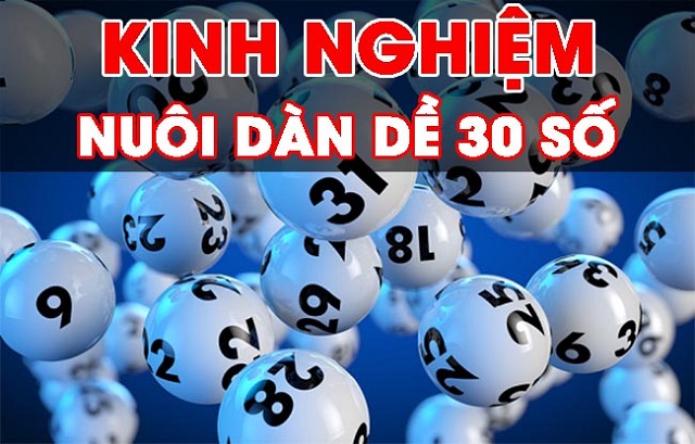 Lựa chọn cá cược dễ dàng hơn với tổng hợp số may mắn