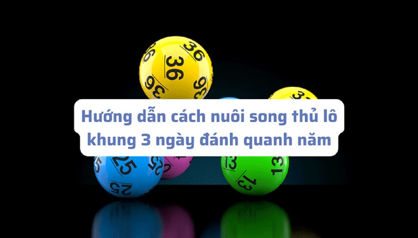 Một số kỹ thuật nuôi song thủ lô 3 ngày mà bạn có thể tham khảo Một số kỹ thuật nuôi song thủ lô 3 ngày mà bạn có thể tham khảo