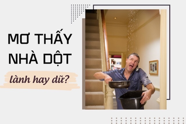 Ý nghĩa tâm linh đằng sau việc nằm mơ thấy trời mưa nhà bị dột Ý nghĩa tâm linh đằng sau việc nằm mơ thấy trời mưa nhà bị dột