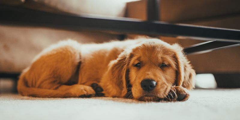 Học cách đánh đề bao trúng ít ai biết? Học cách đánh đề bao trúng ít ai biết?
